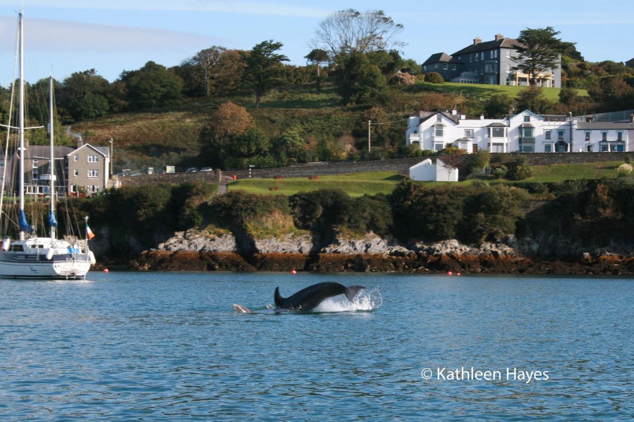 Bay View B&B Glandore Eksteriør billede