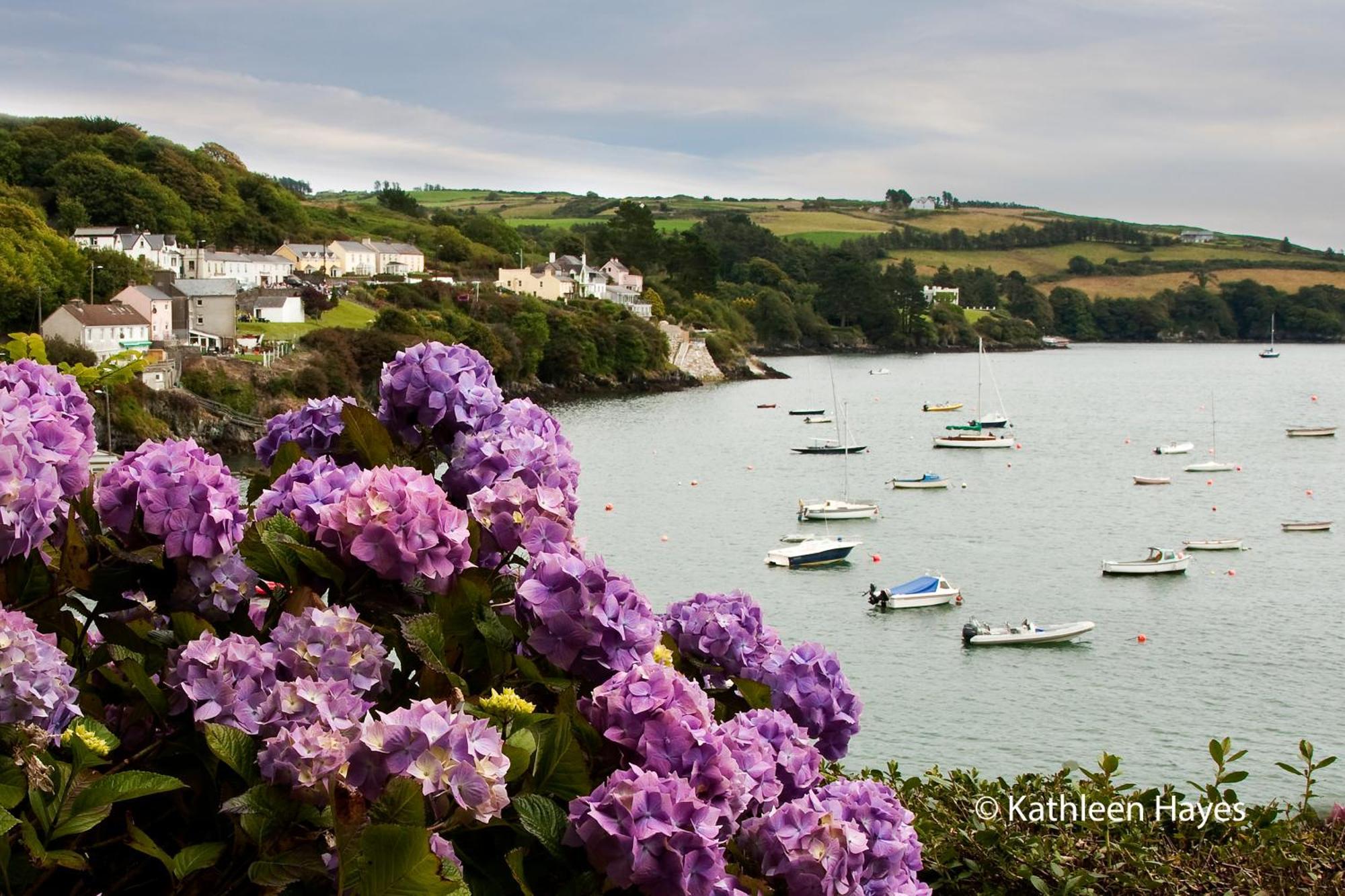 Bay View B&B Glandore Værelse billede